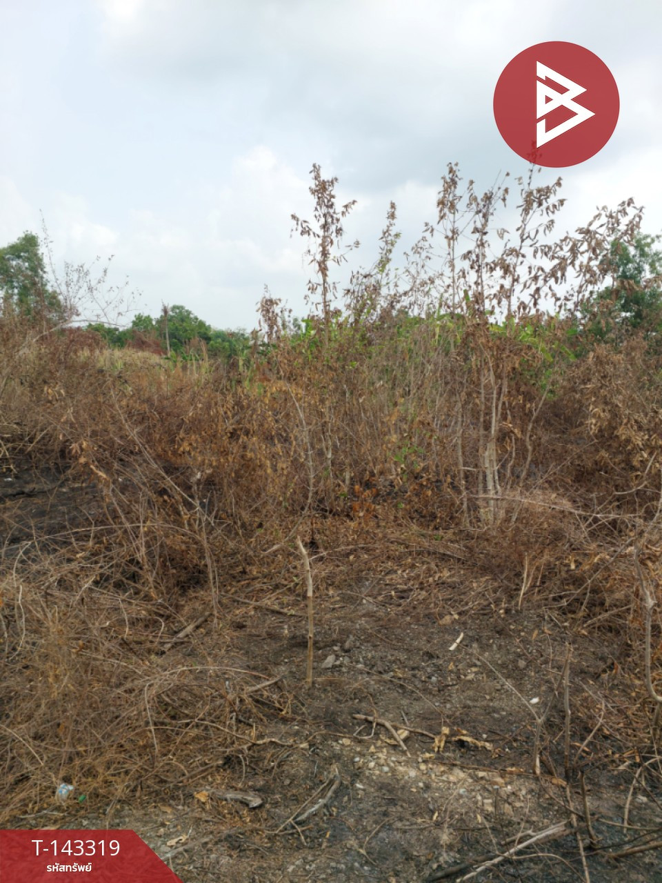ขายที่ดิน เนื้อที่ 1 งาน 20 ตร.วา องครักษ์ นครนายก – รูปที่ 2
