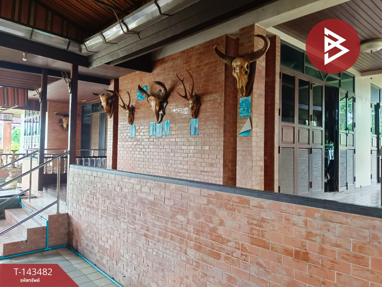 Single house with land for sale, area 2 rai 48.5 sq m, Wang Krachae, Trat. – รูปที่ 4