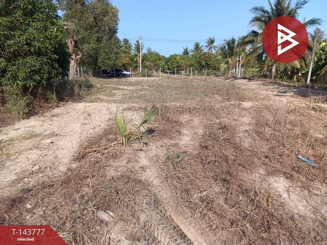 Land for sale, already filled, area 1 rai 76.2 sq m, Tha Yang, Phetchaburi.