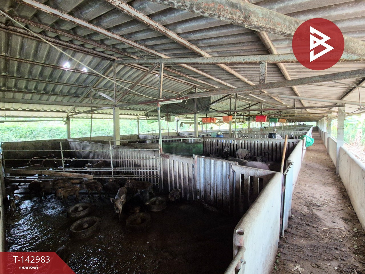Land for sale with buildings, area 5 rai 1 ngan, Bang Len, Nakhon Pathom. – รูปที่ 4