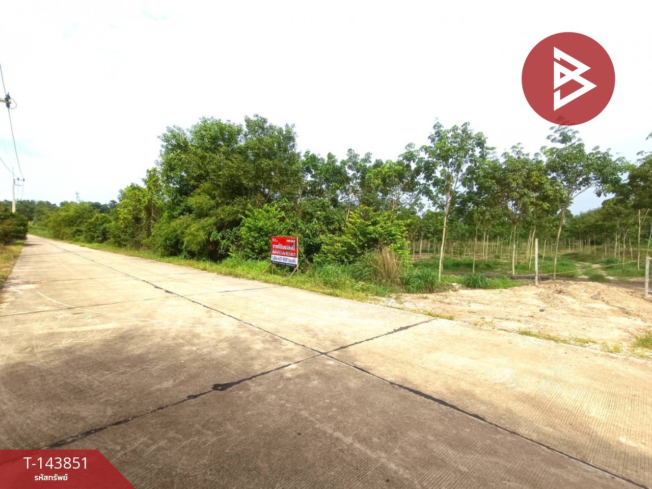 ขายที่ดิน เนื้อที่ 6 ไร่ 2 งาน 92.2 ตร.วา วังจันทร์ ระยอง – รูปที่ 2