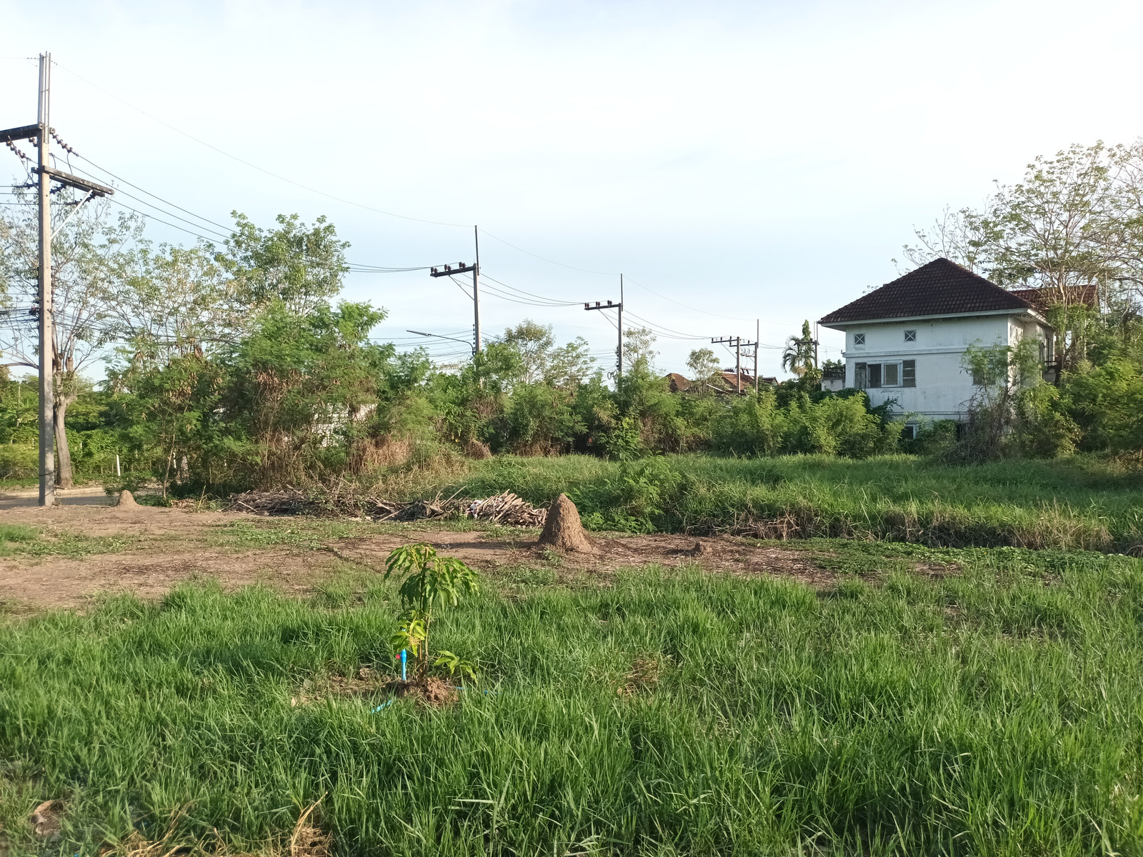 Land for Sale at Krisadanakorn 27, Sam Phran, Nakhon Pathom. Land size 100 sq.wah, conveniently located near Mahidol University Salaya and major lifestyle destinations. – รูปที่ 3