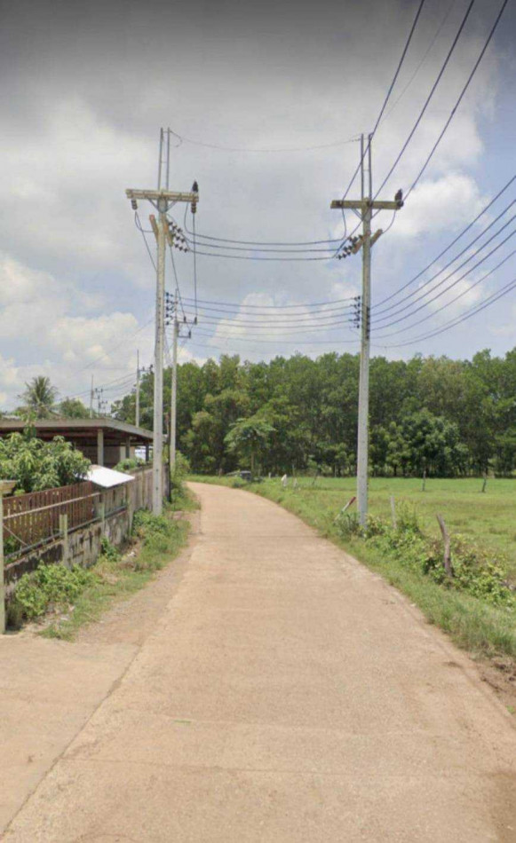 ขาย ที่ดิน ผังเขียว ใกล้นิคมบ่อทอง กบินทร์บุรี 7 ไร่ 1 งาน 90 ตรว  สภาพแวดล้อมดี สงบ พร้อมรับการขยายตัวทางเศรษฐกิจในอนาคต – รูปที่ 3