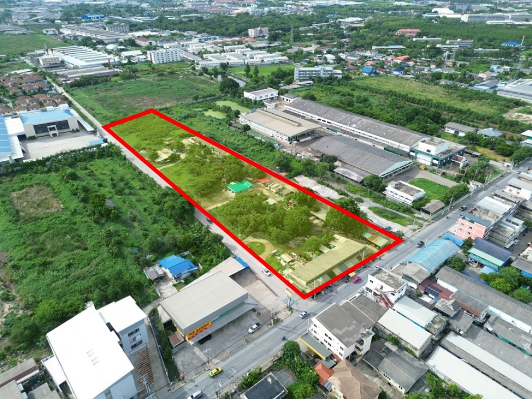 Land for sale in Soi Wat Thiandad, Sam Phran, 10 rai, Located just 650 meters from Phetkasem Road. Land for sale in Soi Wat Thiandad, Sam Phran, 10 rai, Located just 650 meters from Phetkasem Road.