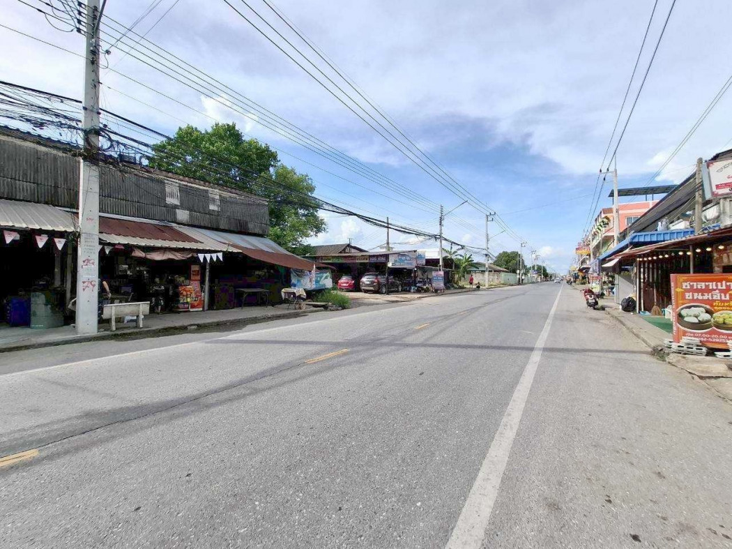 ขาย ที่ดิน ซอยวัดเทียนดัด สามพราน 10 ไร่ 1 งาน ใกล้ถนนเพชรเกษม เพียง 650 เมตร – รูปที่ 4