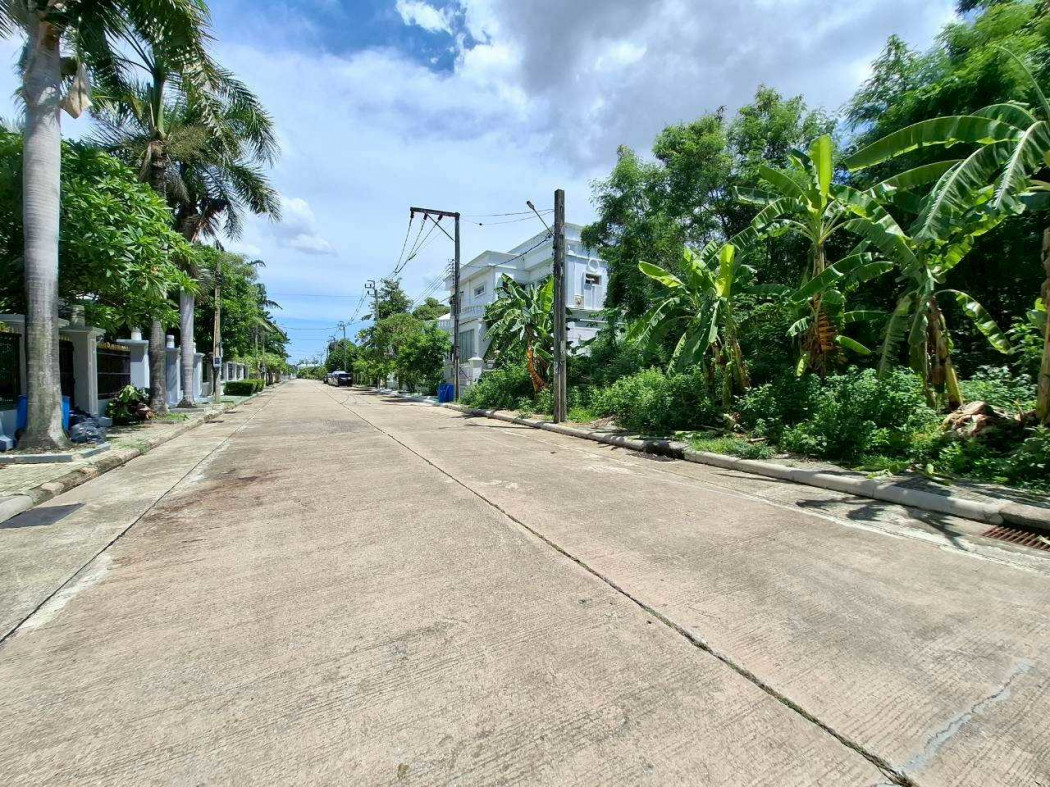 ขาย ที่ดิน หมู่บ้าน Evergreen city บางแค 580 ตรว อยู่ริมถนนเมนของโครงการ – รูปที่ 2