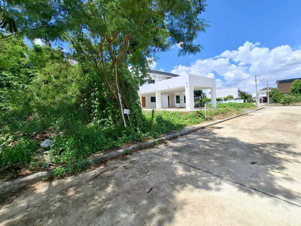 ขาย ที่ดิน หมู่บ้าน Evergreen city บางแค 274 ตรว ถูกมาก ความเป็นส่วนตัวสูง – รูปที่ 3