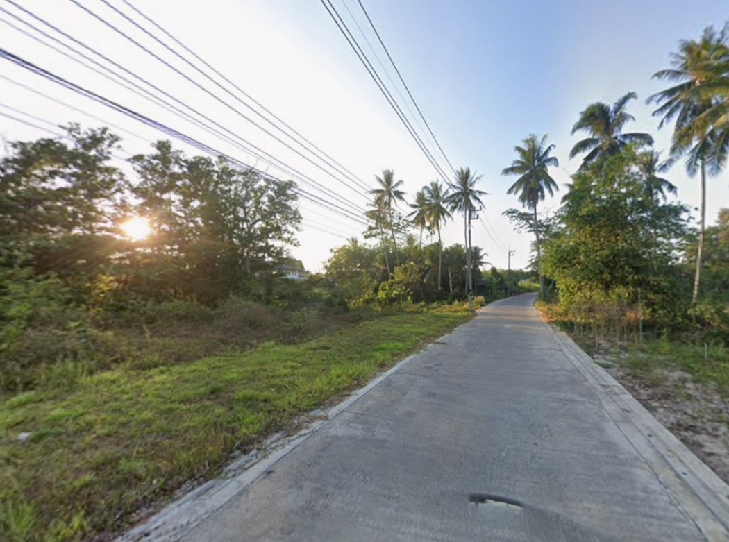 ขายที่ดินหาดใหญ่ 1 ไร่ 3 งาน 64.8 ตร.ว. ใกล้ถนนหมายเลข 2031 และตลาดท่าข้าม – รูปที่ 2