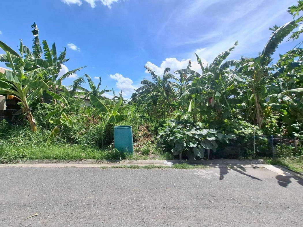 Land for sale in Soi Rangsit-Nakhon Nayok 55, 118 square wah, near Rangsit-Nakhon Nayok Road, only 1.4 km away. – รูปที่ 4