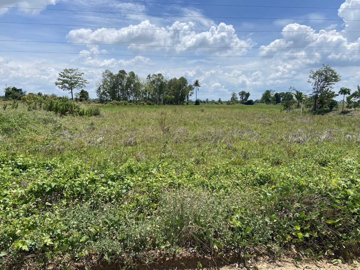 vacant land Land has been allocated. Ready to build a house vacant land Land has been allocated. Ready to build a house