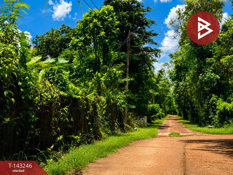 ขายที่ดิน เนื้อที่ 2 งาน 13.5 ตร.วา กุรุคุ นครพนม – รูปที่ 2