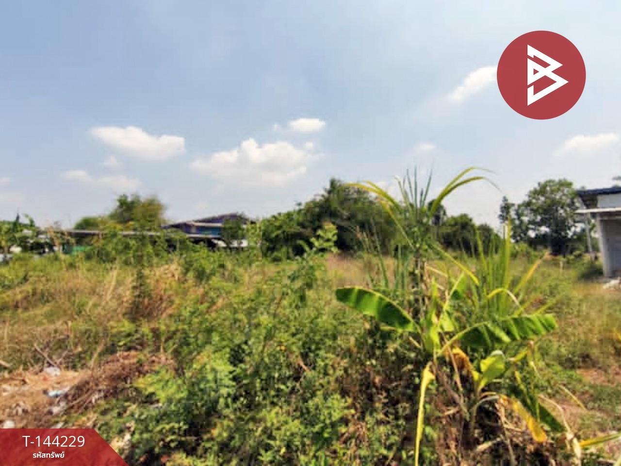 ขายที่ดิน เนื้อที่ 1 งาน 18 ตร.วา วิหารแดง สระบุรี – รูปที่ 2