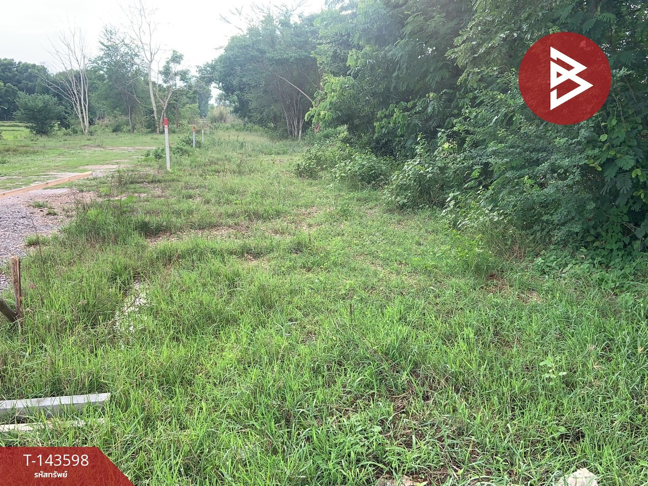 Land for sale, area 1 rai, Na Di, Udon Thani. – รูปที่ 3