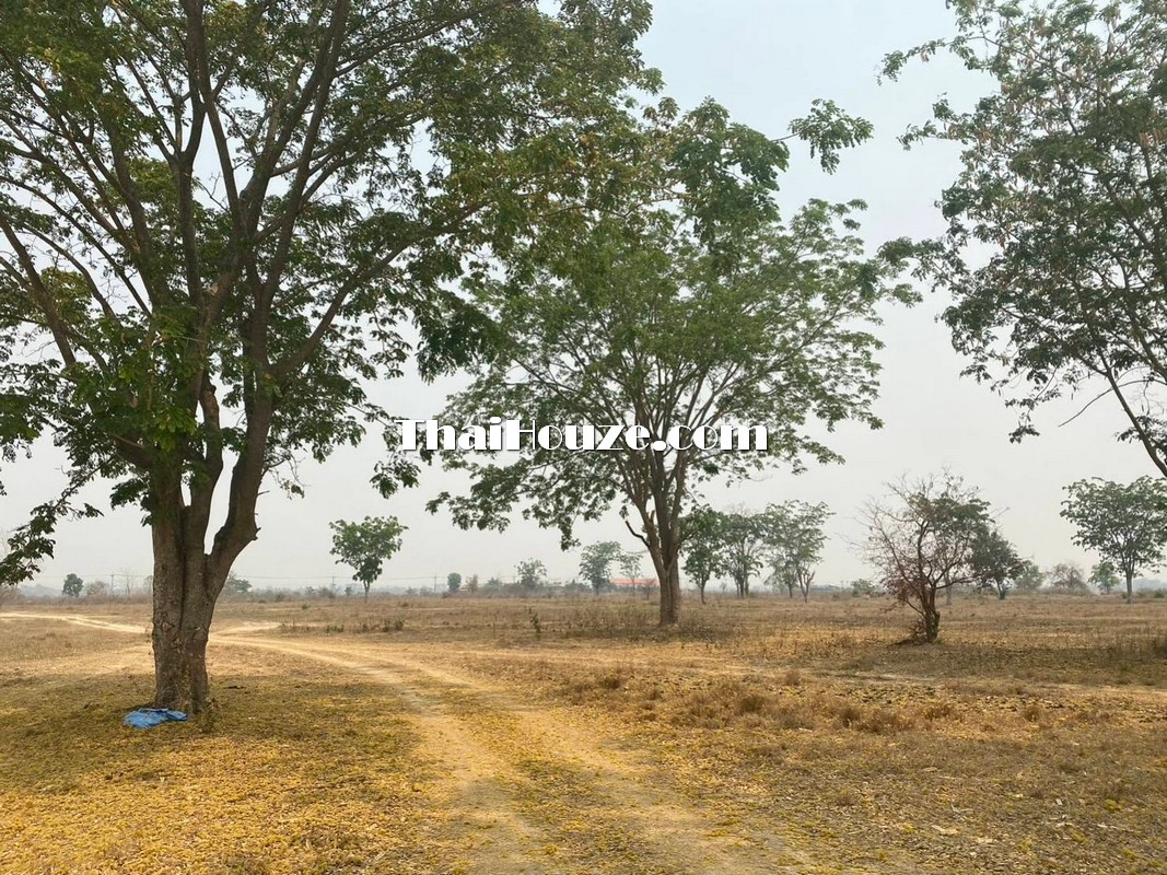 Empty land for sale already filled Sri Pho Ngoen Subdistrict, Pa Daet District, Chiang Rai Province, 132 rai – รูปที่ 2