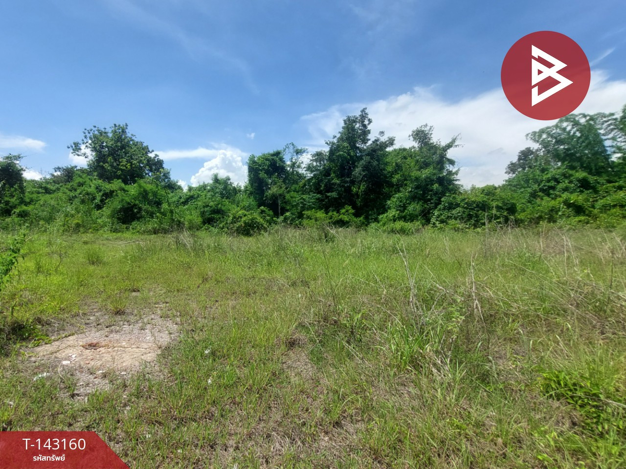 Land for sale next to the Mekong River, area 5 rai 85 sq m, Wat Luang, Phon Phisai, Nong Khai. – รูปที่ 4