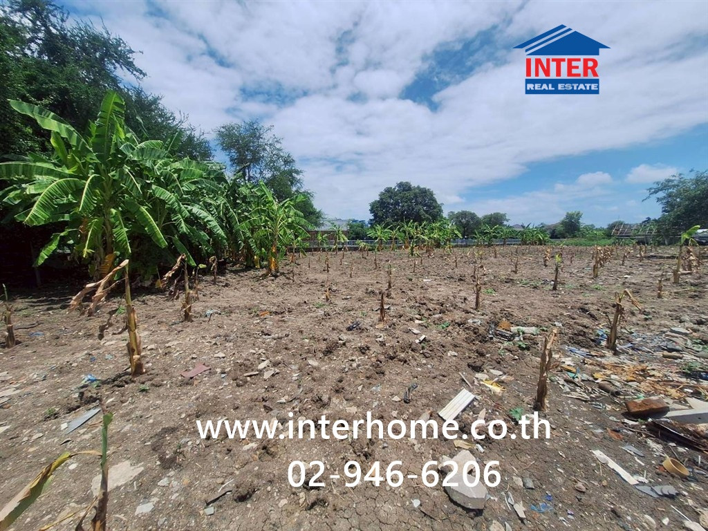 ที่ดินเปล่า 100 ตร.ว. หมู่บ้านมิตรภาพ อ่อนนุช46 ซอยศรีนครินทร์36 ซอยอ่อนนุช46 ถนนอ่อนนุช ถนนศรีนครินทร์ เขตพระโขนง กรุงเทพมหานคร – รูปที่ 4
