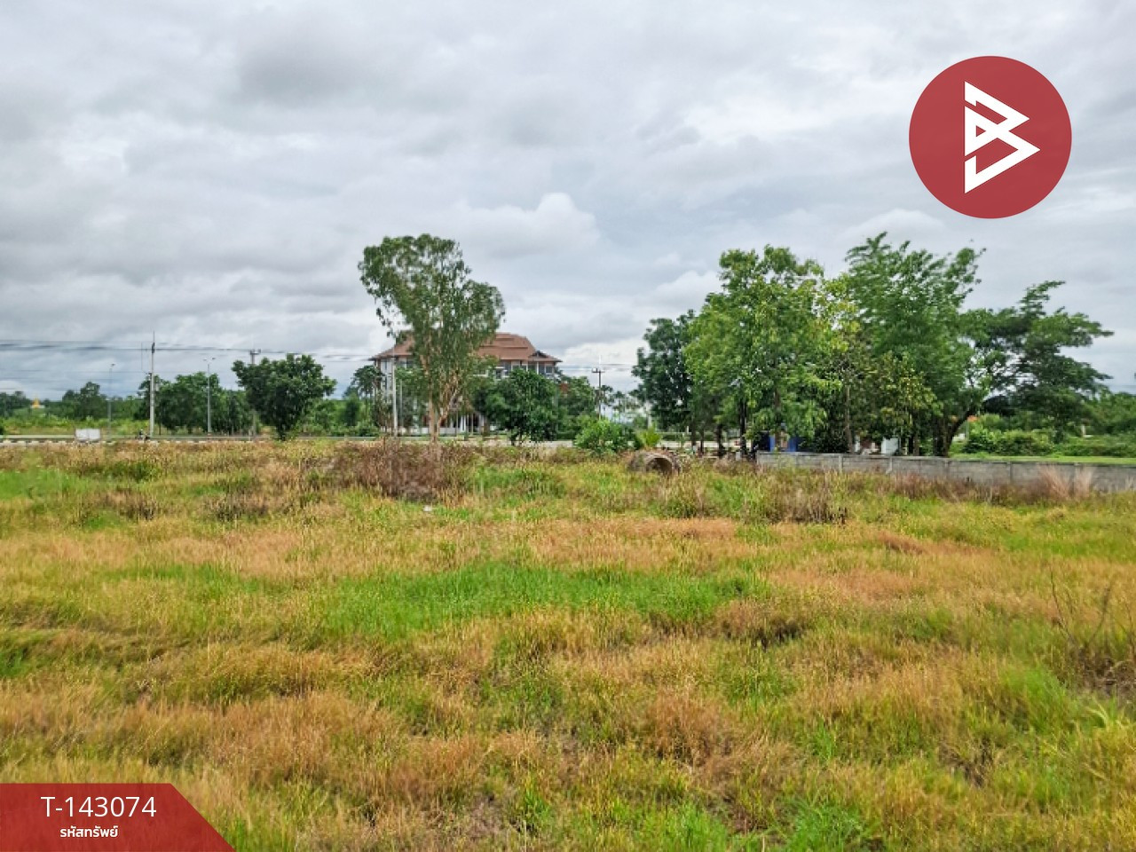 Land for sale, area 5 rai 92.7 sq m, Thoeng, Chiang Rai. – รูปที่ 2