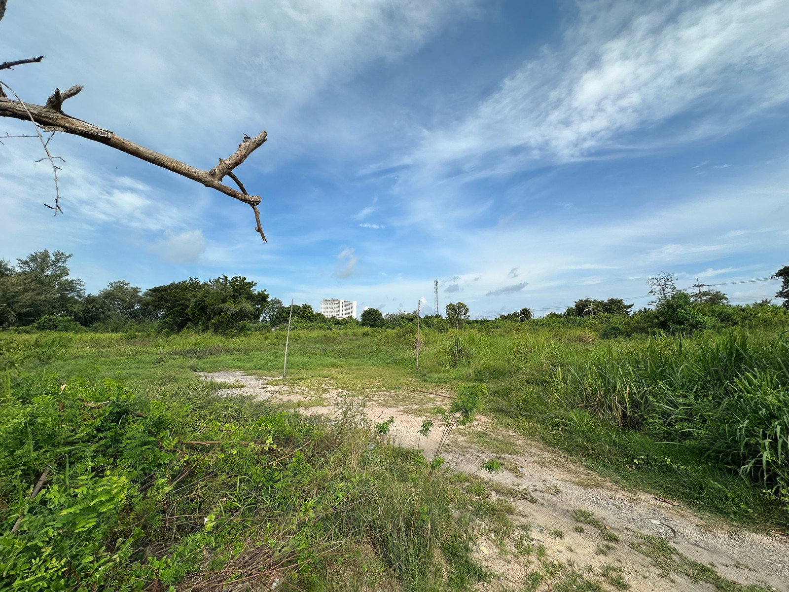 ขายที่ดินทำเลทอง ติดหาดพลา บ้านฉาง ระยอง ใกล้สนามบินอู่ตะเภา ราคาพิเศษ – รูปที่ 4