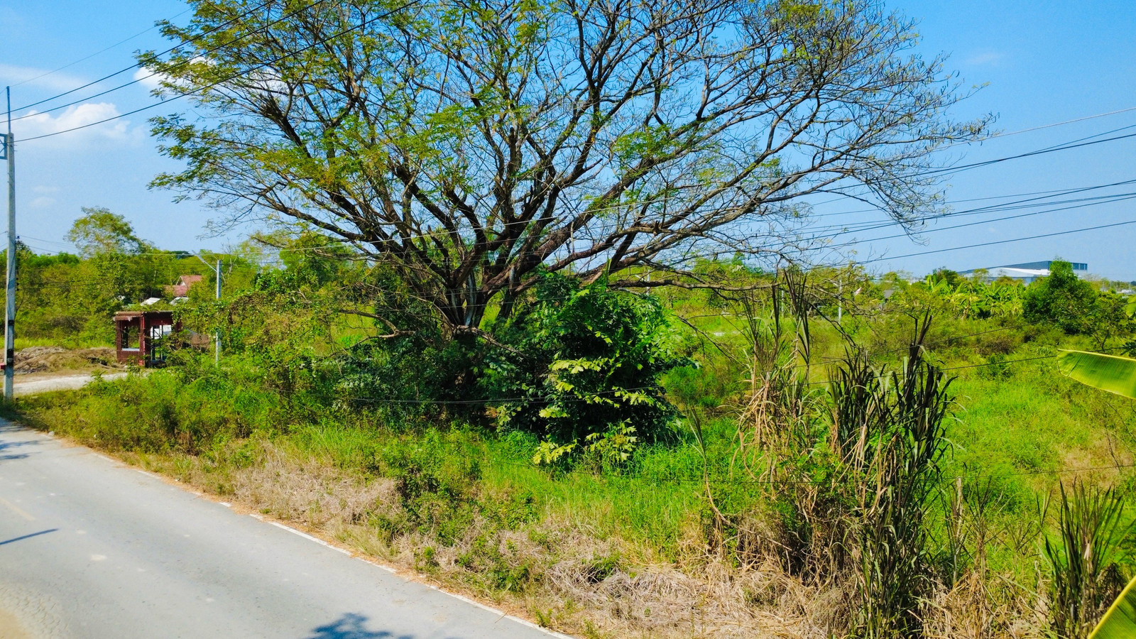 Urgent sale, beautiful land 2 rai, next to Wat Pa Charoen Rat, Lam Luk Ka. – รูปที่ 3