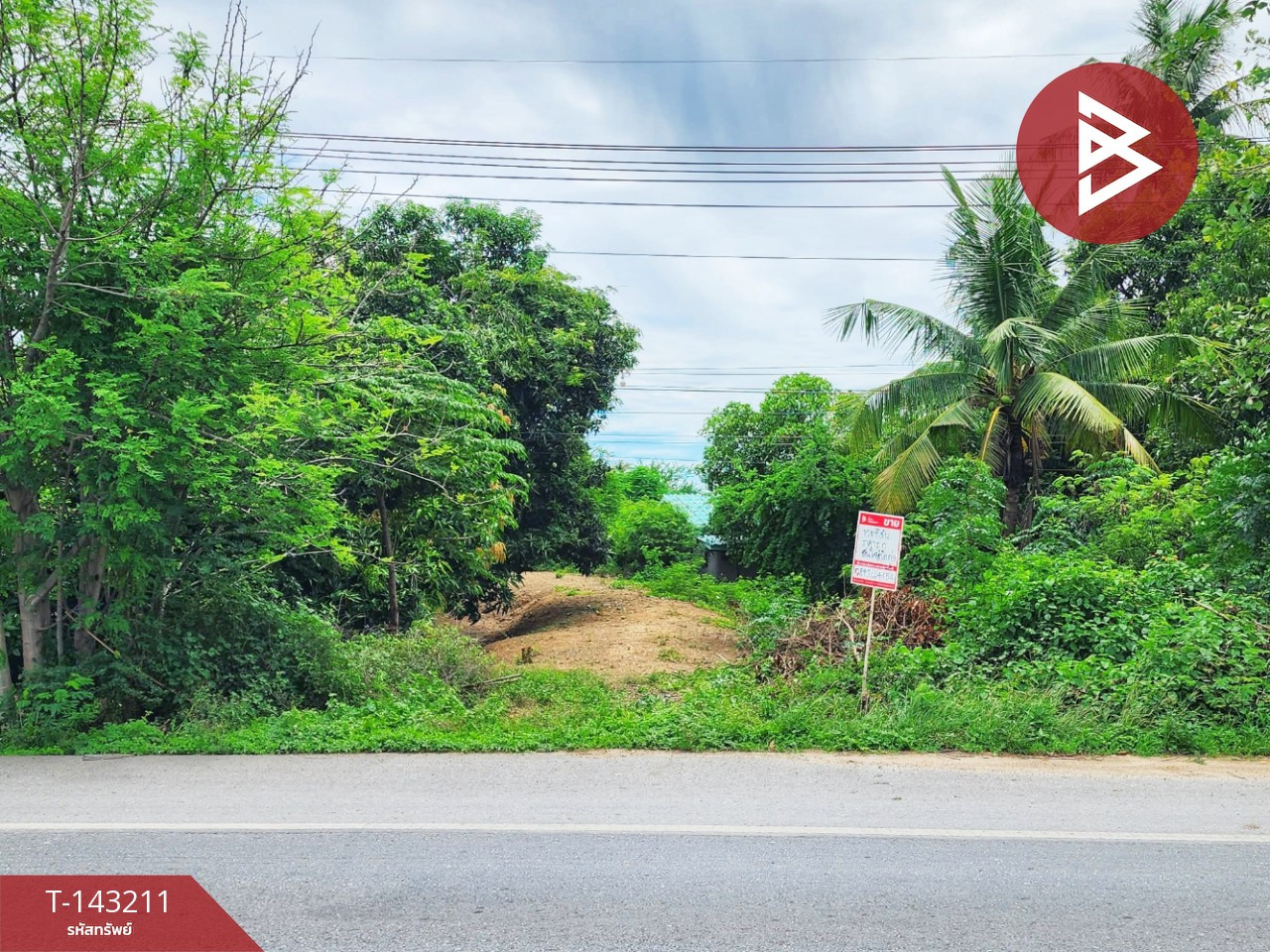 ขายที่ดิน เนื้อที่ 95 ตร.วา ท่ามะกา กาญจนบุรี – รูปที่ 3