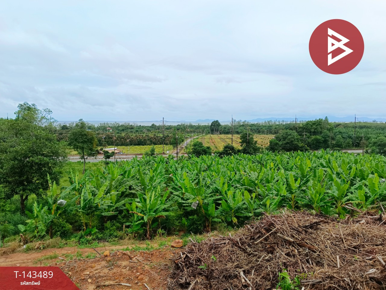 ขายที่ดิน เนื้อที่ 9 ไร่ 2 งาน 87 ตร.วา แหลมกลัด ตราด – รูปที่ 3