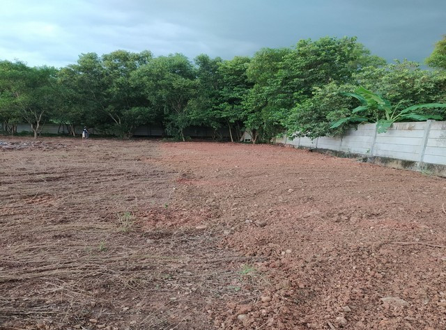 sss570 ขาย ที่ดิน 1 ไร่ ถมแล้ว ซอยจตุโชติ 4 แขวงออเงิน เขตสายไหม ลงด่านจตุโชติ ทางด่วนฉลองรัช Line: @956uovqp – รูปที่ 2