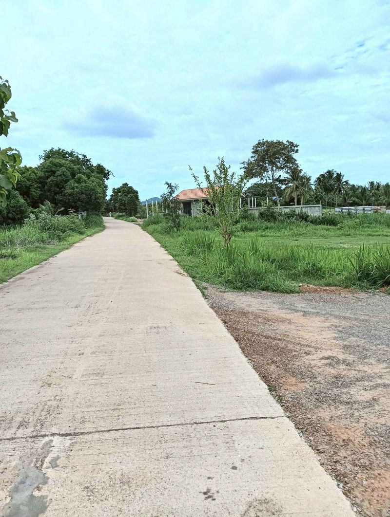 Empty land for sale Cheapest price in this area. Total area 8 rai 38 square wah, Hin Lek Fai Subdistrict, Hua Hin District, Prachuap Khiri Khan Province. Empty land for sale Cheapest price in this area. Total area 8 rai 38 square wah, Hin Lek Fai Subdistrict, Hua Hin District, Prachuap Khiri Khan Province.