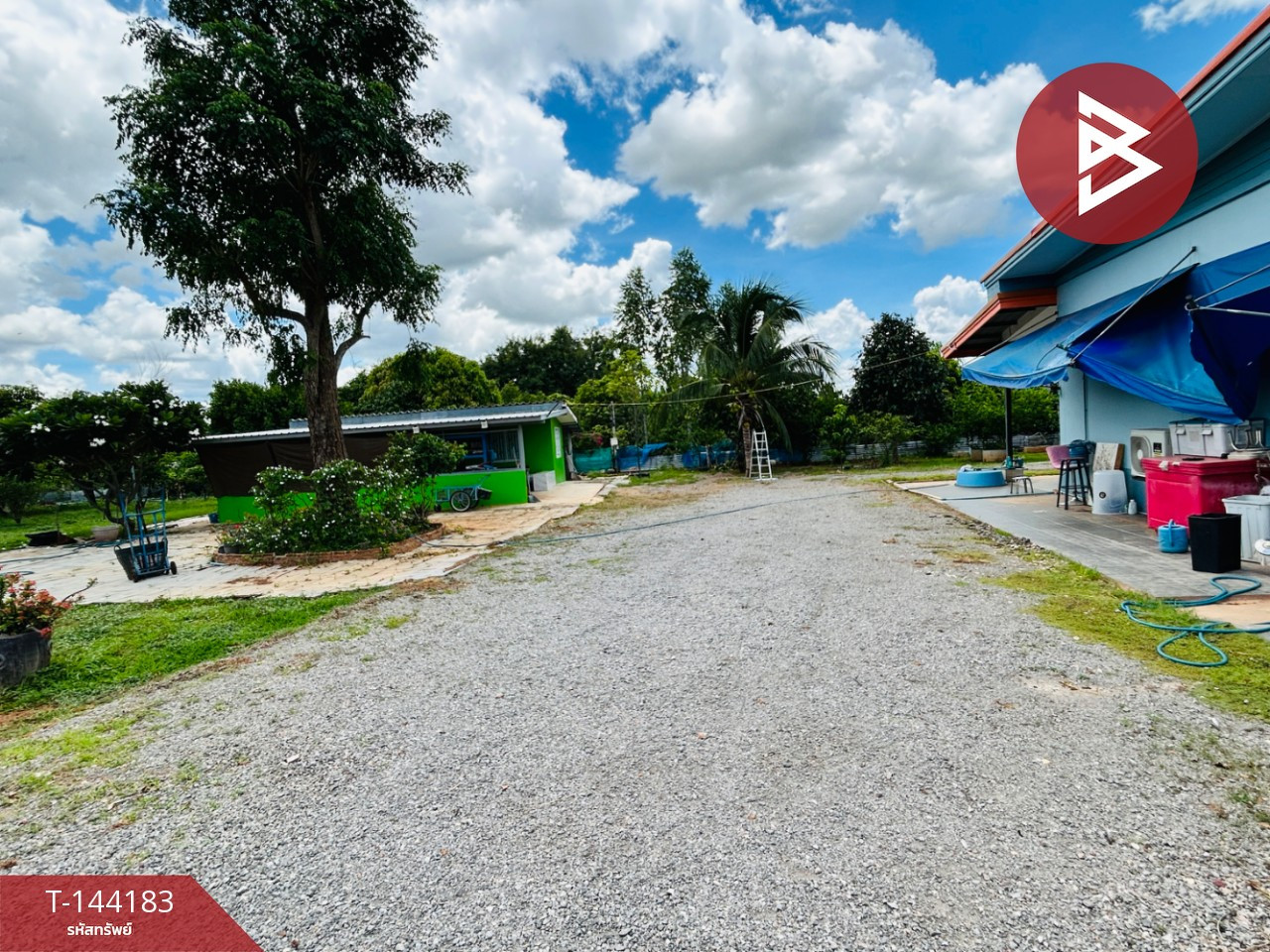 ขายด่วนบ้านเดี่ยวพร้อมที่ดินสวนผลไม้ เนื้อที่ 4 ไร่ อ.โพธาราม ราชบุรี – รูปที่ 3