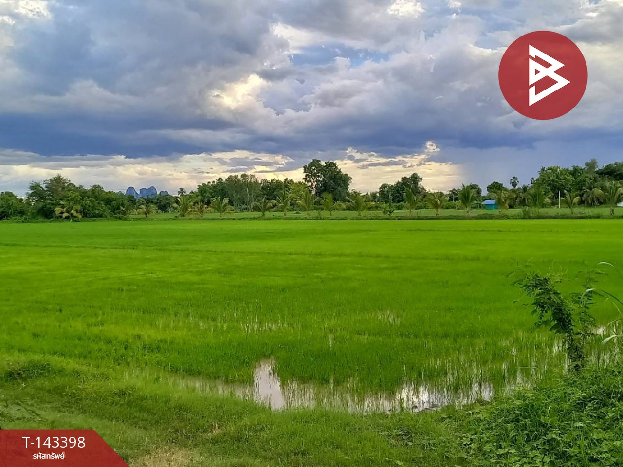 ขายที่ดิน เนื้อที่ 11 ไร่ 1 งาน 65 ตร.วา บรรพตพิสัย นครสวรรค์ ขายที่ดิน เนื้อที่ 11 ไร่ 1 งาน 65 ตร.วา บรรพตพิสัย นครสวรรค์