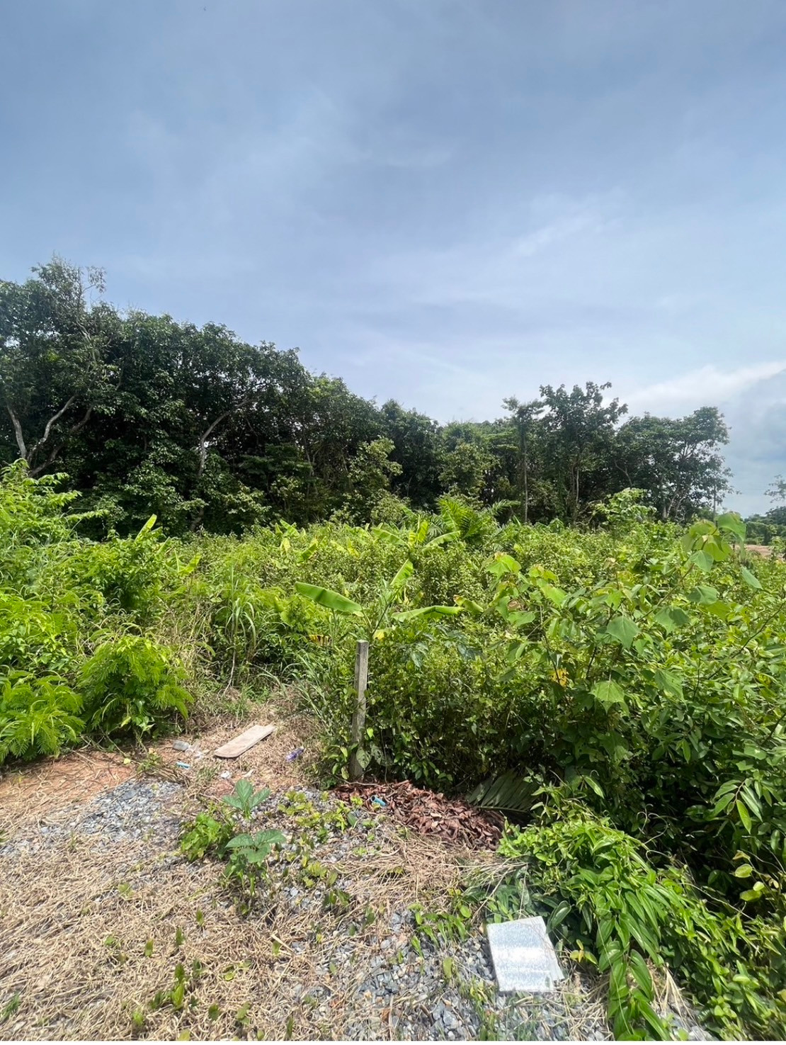 ขายที่ดินวิวภูเขา บรรยากาศธรรมชาติ ในโครงการสวนจักรดาว จ.นครนายก – รูปที่ 2