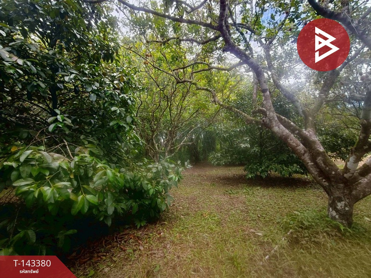 Land for sale with buildings, area 13 rai 83 sq m, Khao Khitchakut, Chanthaburi.