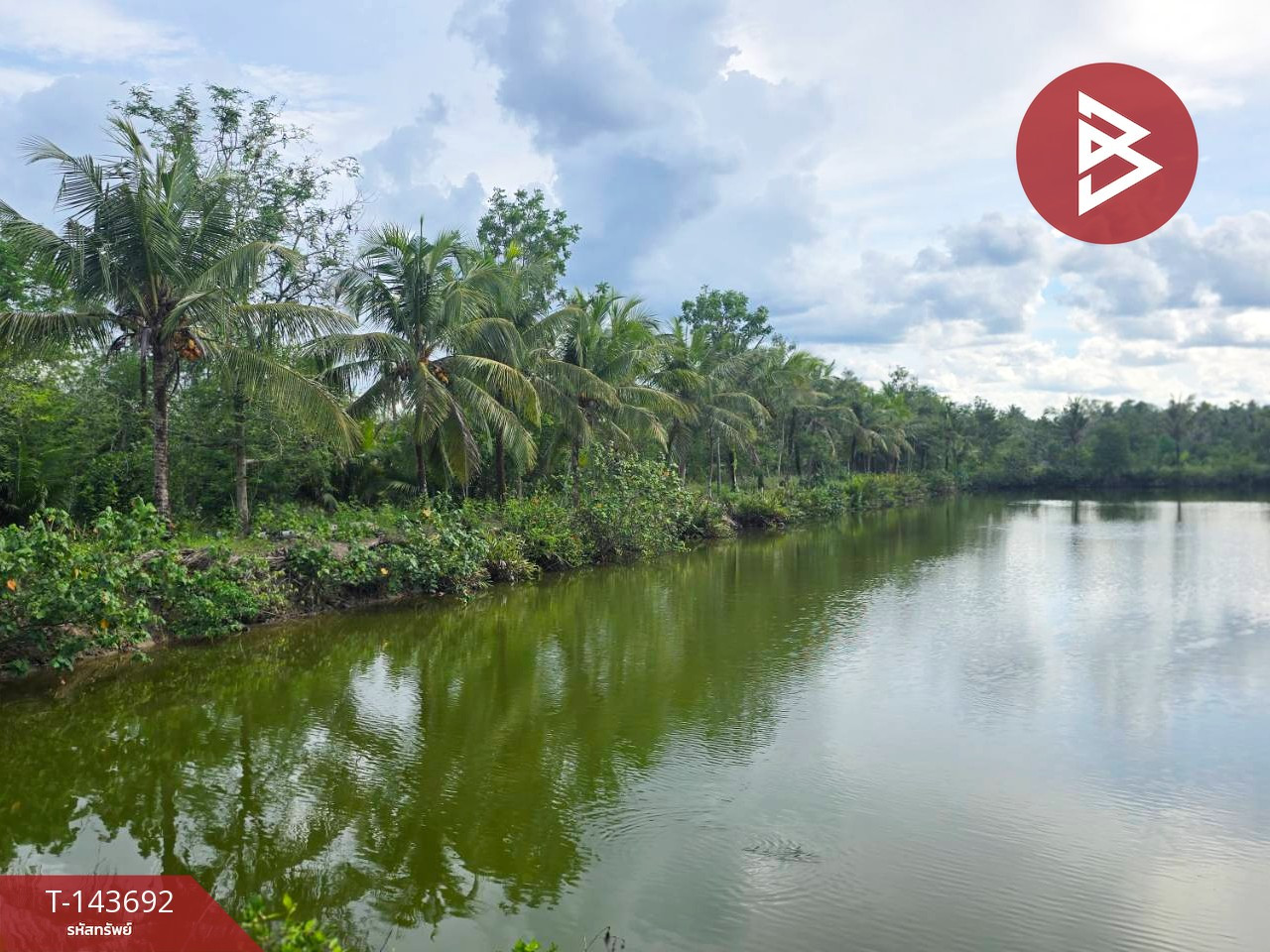 Land for sale, area 14 rai 77 sq m, Tha Yang, Chumphon. – รูปที่ 2