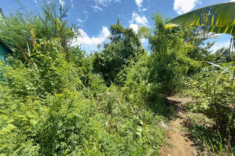 Land for sale 133 sq m, Sridan 22 Road, Srinakarin Road. Near the Yellow Line – รูปที่ 3