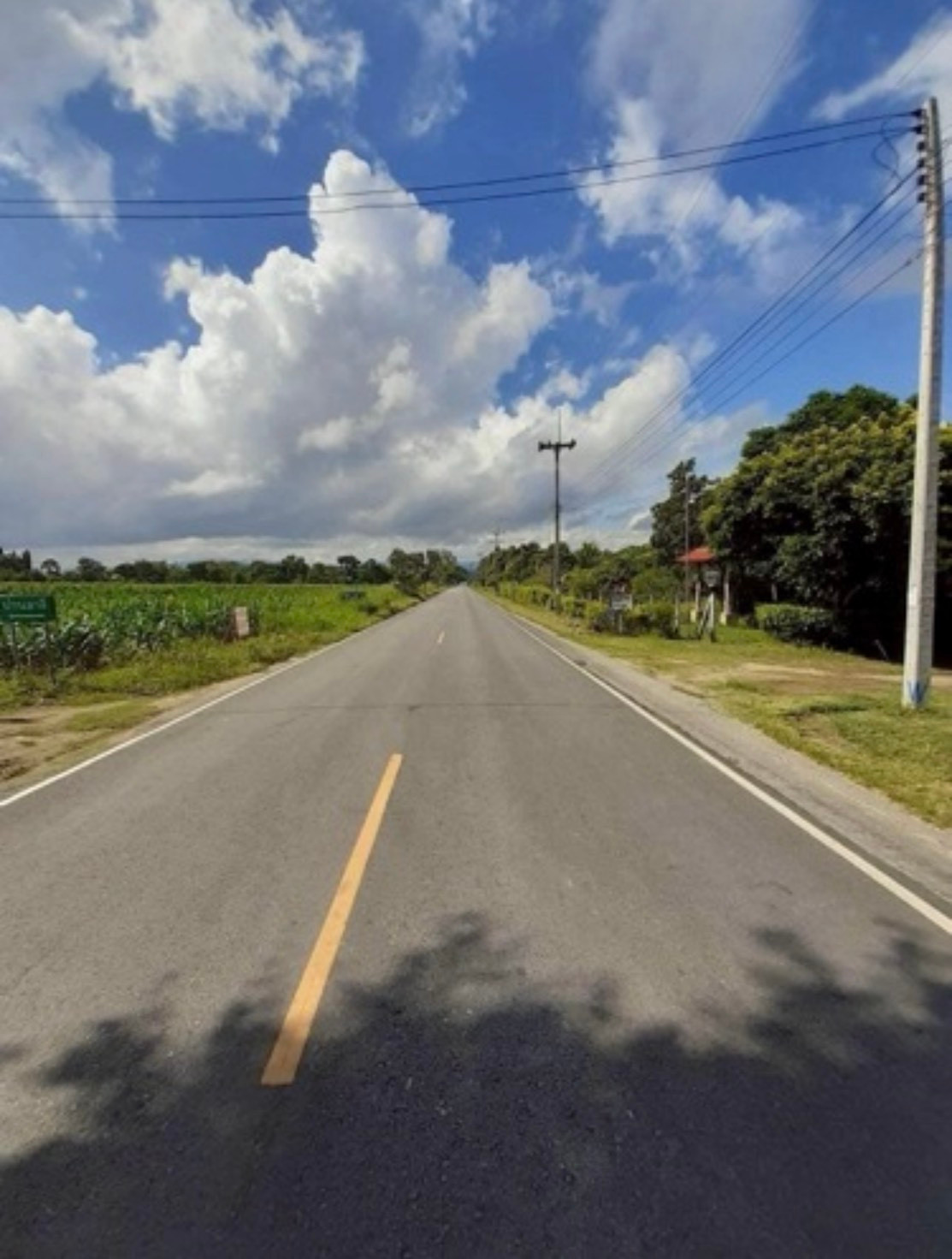 ขายที่ดินติดถนน ขนงพระ เขาใหญ่ นครราชสีมา เนื้อที่ 75-1-85 ไร่ ไร่ละ 2.8 ล้าน  วิวเขา สนใจติดต่อชนิตา 088-2878791 – รูปที่ 2