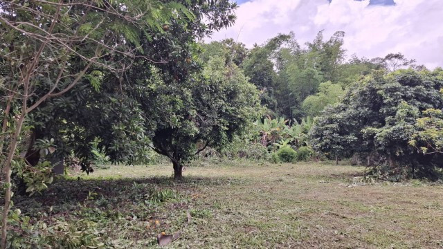 Land for sale, over 1 rai, San Sai Subdistrict, Mueang Chiang Rai, already filled, free transfer, suitable for building a house and a resort. – รูปที่ 3