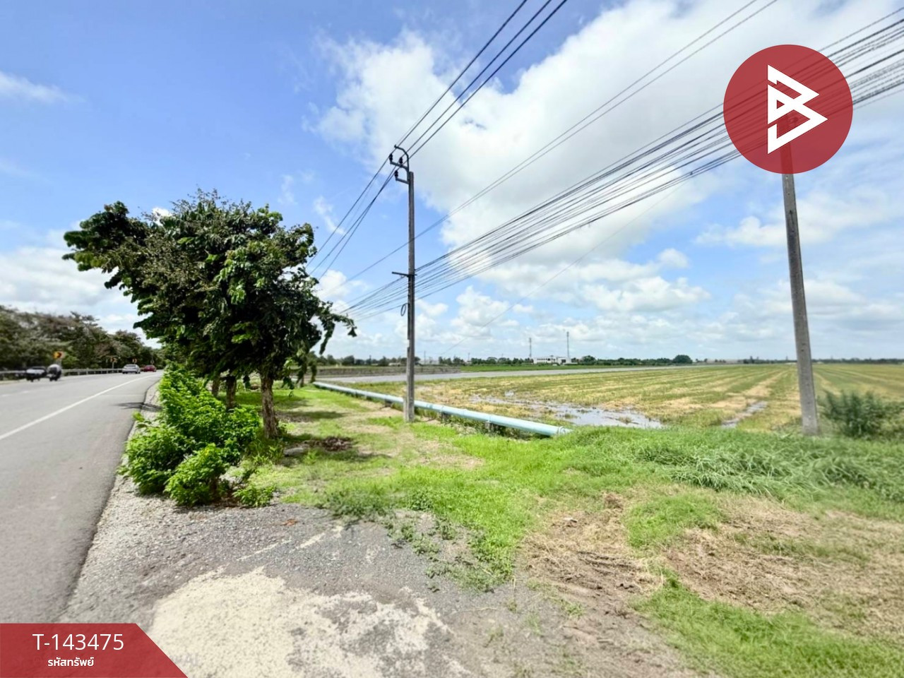 ขายที่ดิน เนื้อที่ 24 ไร่ 5 ตร.วา หนองจอก กรุงเทพมหานคร – รูปที่ 2