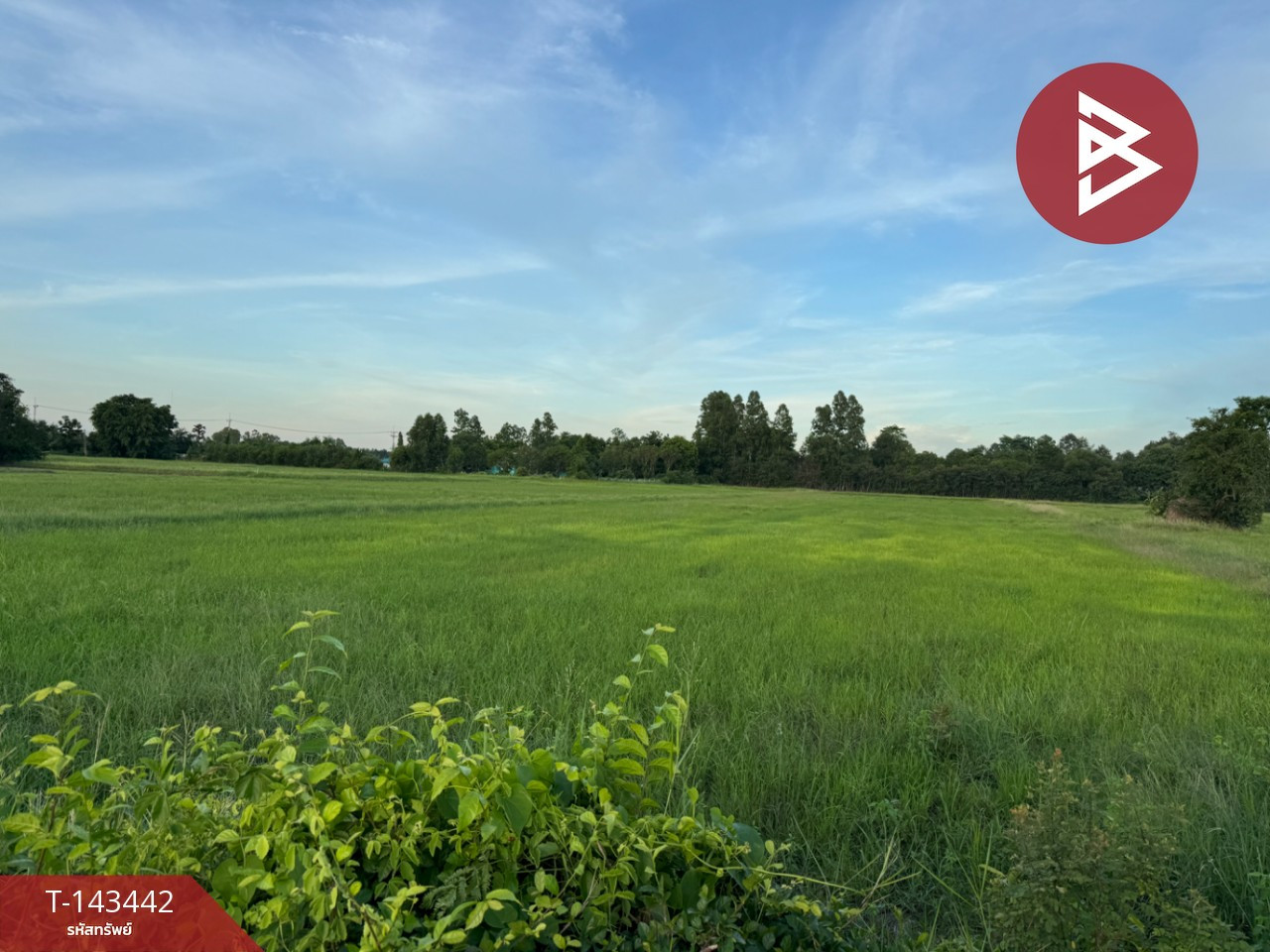 Land for sale, area 5 rai, Ban Pho, Chachoengsao. – รูปที่ 3