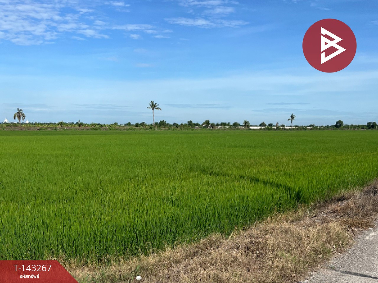 ขายที่ดิน เนื้อที่ 7 ไร่ 2 งาน 91 ตร.วา คลองอุดมชลจร ฉะเชิงเทรา – รูปที่ 4
