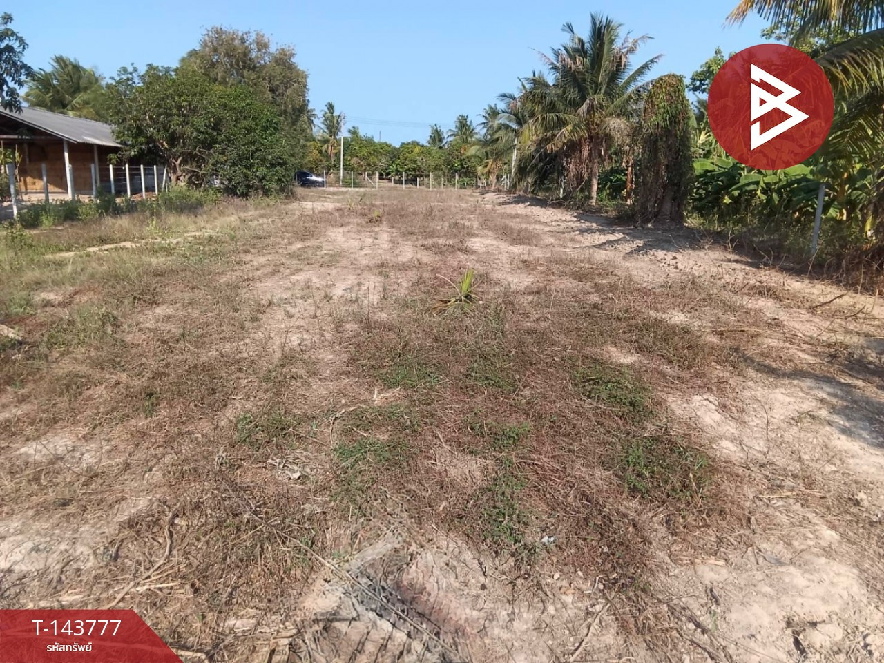 Land for sale, already filled, area 1 rai 76.2 sq m, Tha Yang, Phetchaburi. – รูปที่ 2
