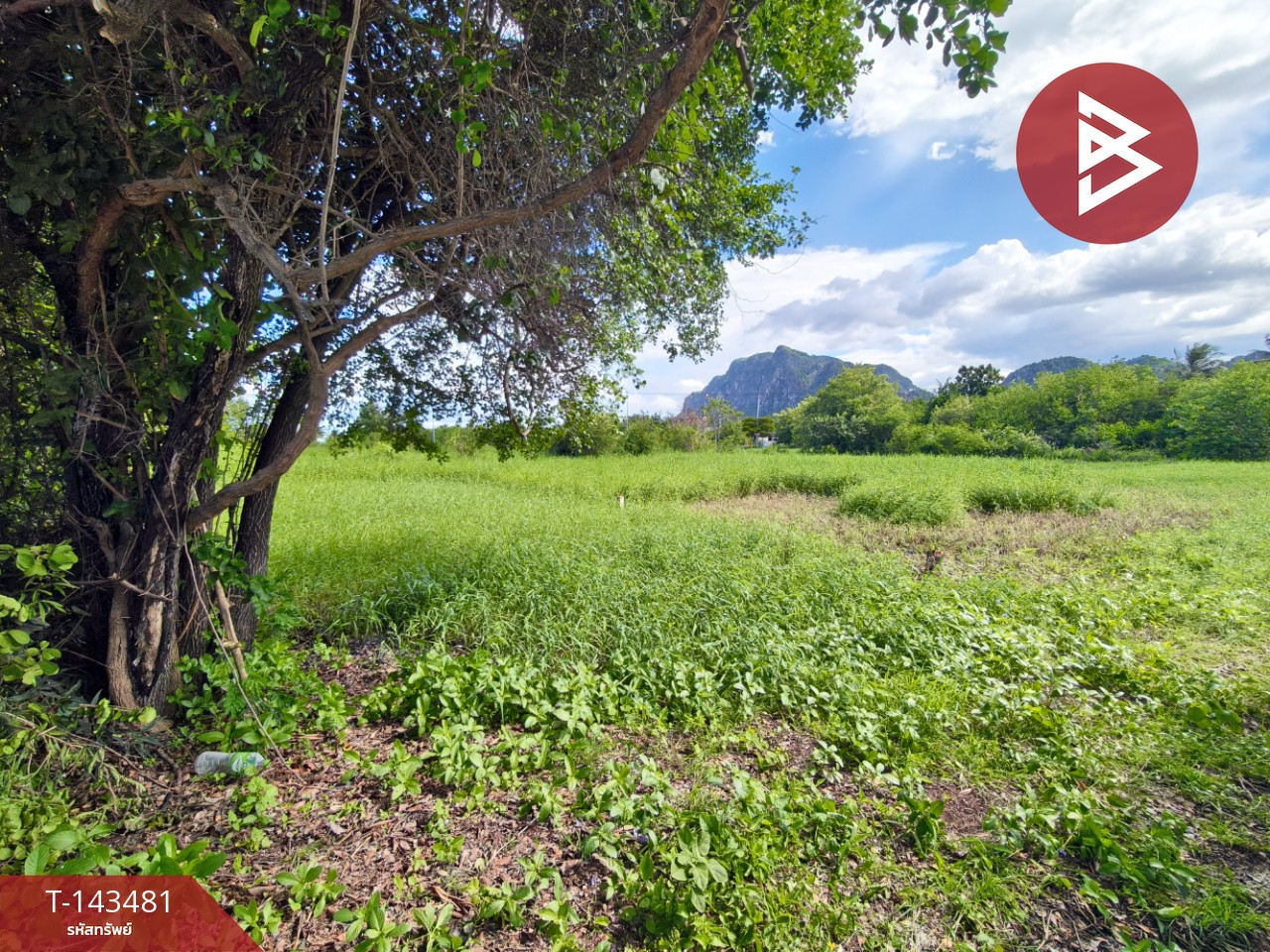 Land for sale, area 76 sq m, Cha-am, Phetchaburi.