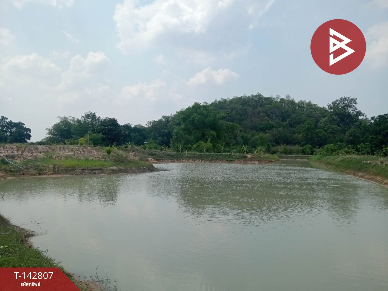 ขายที่ดิน เนื้อที่ 10 ไร่ ลาดยาว นครสวรรค์ – รูปที่ 4