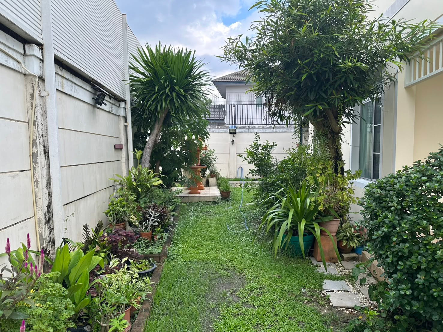 🔥🔥32003🔥🔥 ให้เช่าบ้านเดี่ยว Renovate ใหม่ทั้งหลัง แปลงมุม  Nantawan Sathorn Ratchaphruk🌐𝐋𝐈𝐍𝐄 𝐈𝐃 : @𝐟𝐚𝐬𝐭𝐟𝐨𝐫𝐫𝐞𝐧𝐭𝐜𝐨𝐧𝐝𝐨    – รูปที่ 3