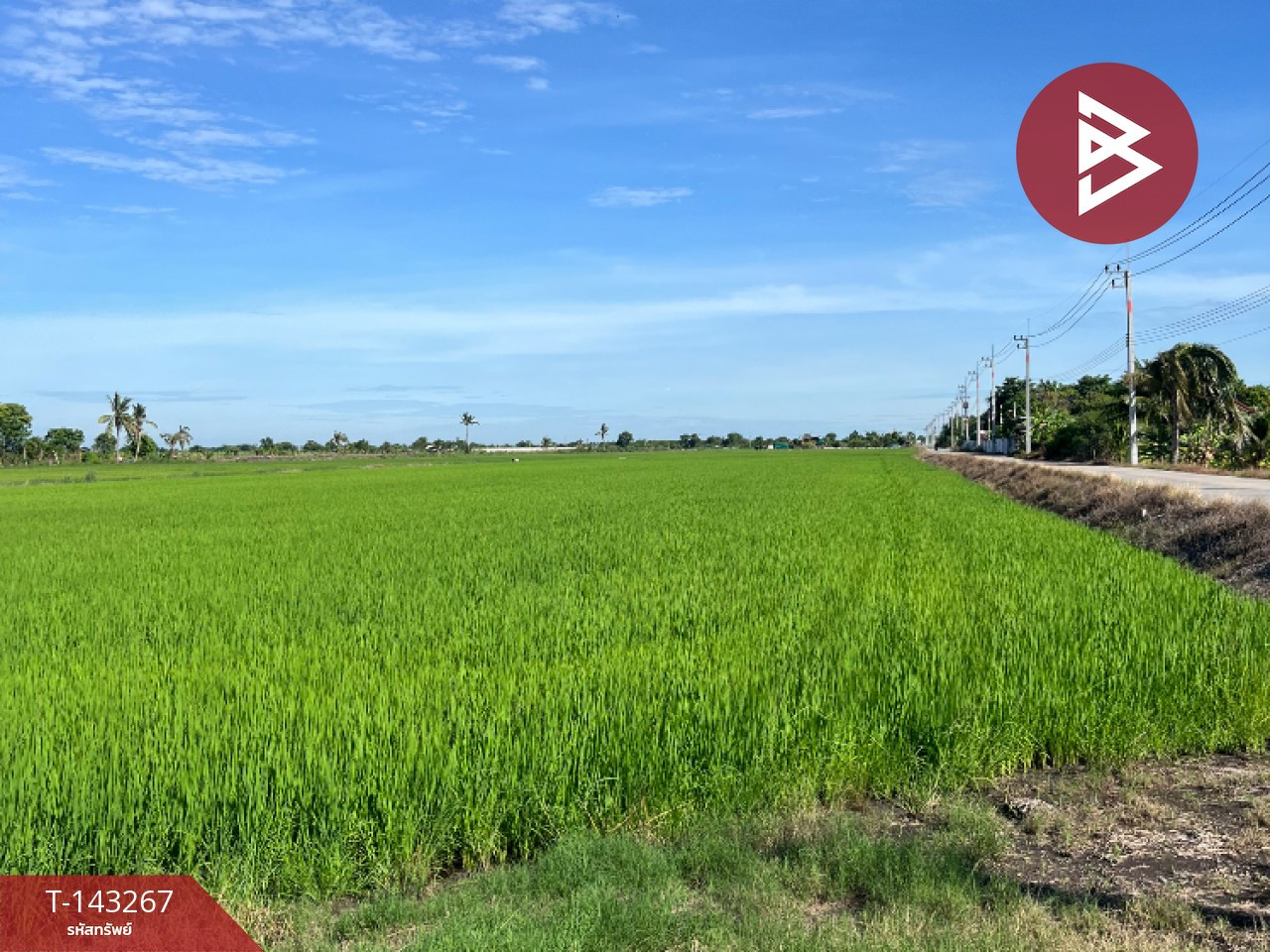 ขายที่ดิน เนื้อที่ 7 ไร่ 2 งาน 91 ตร.วา คลองอุดมชลจร ฉะเชิงเทรา – รูปที่ 2