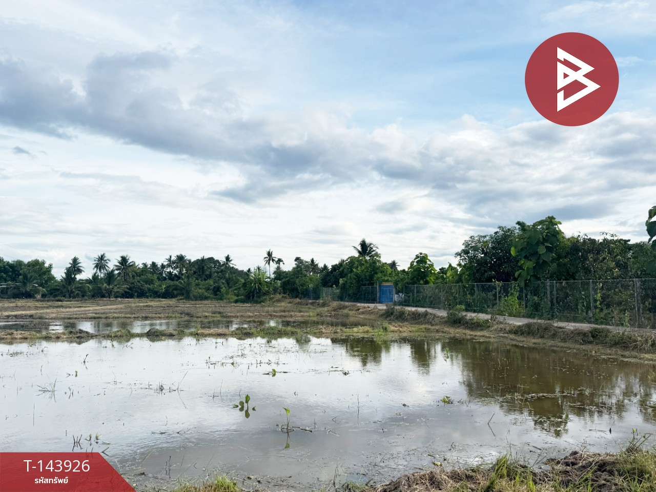 Land for sale, area 6 rai 70 sq m, Ban Paen, Lamphun. – รูปที่ 4