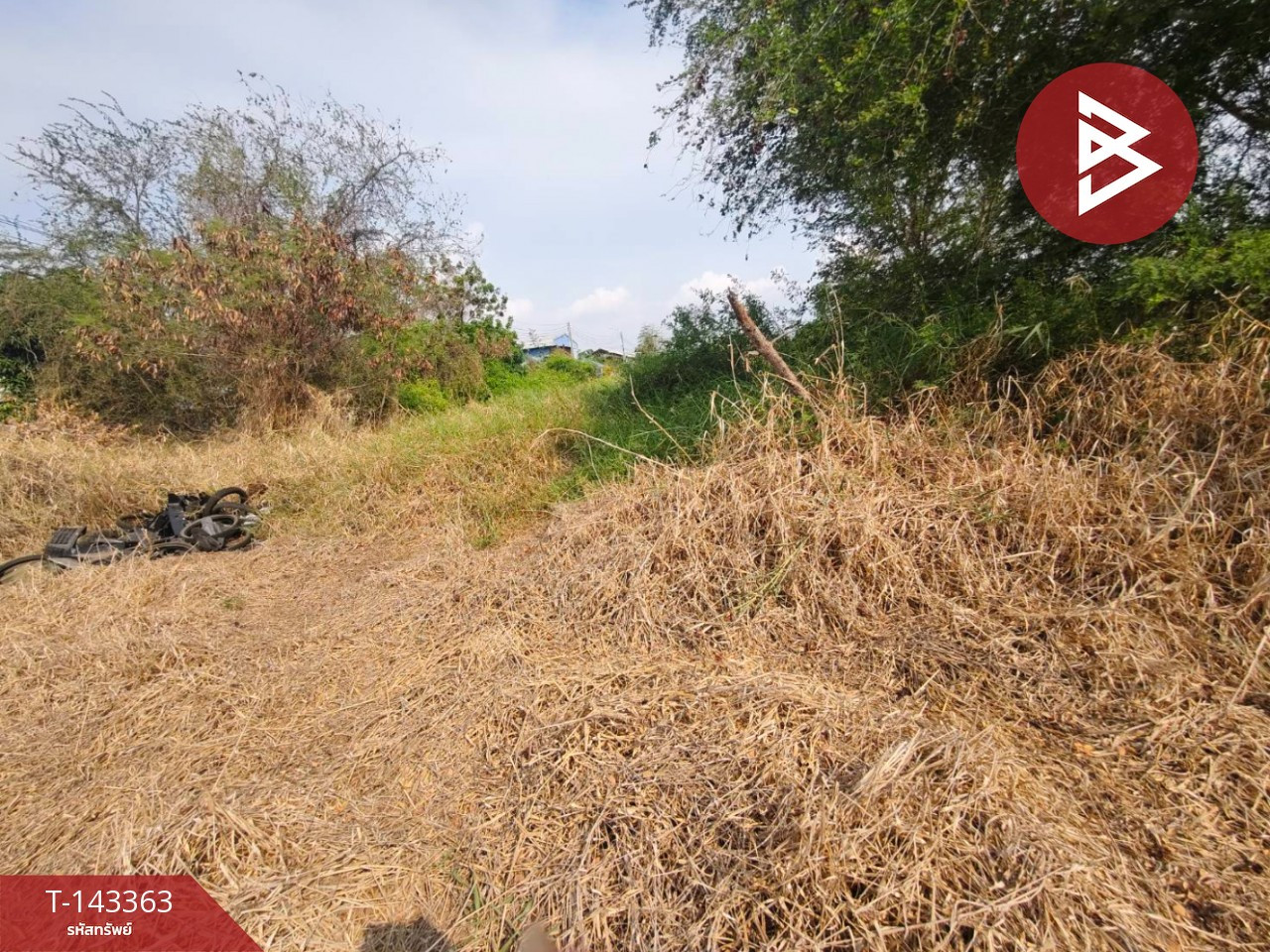 Land for sale, area 50 sq m, Bang Pakong, Chachoengsao. – รูปที่ 3