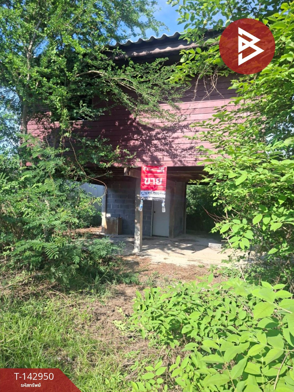 ขายบ้านเดี่ยว เนื้อที่ 2 งาน อ.เดิมบางนางบวช สุพรรณบุรี – รูปที่ 3