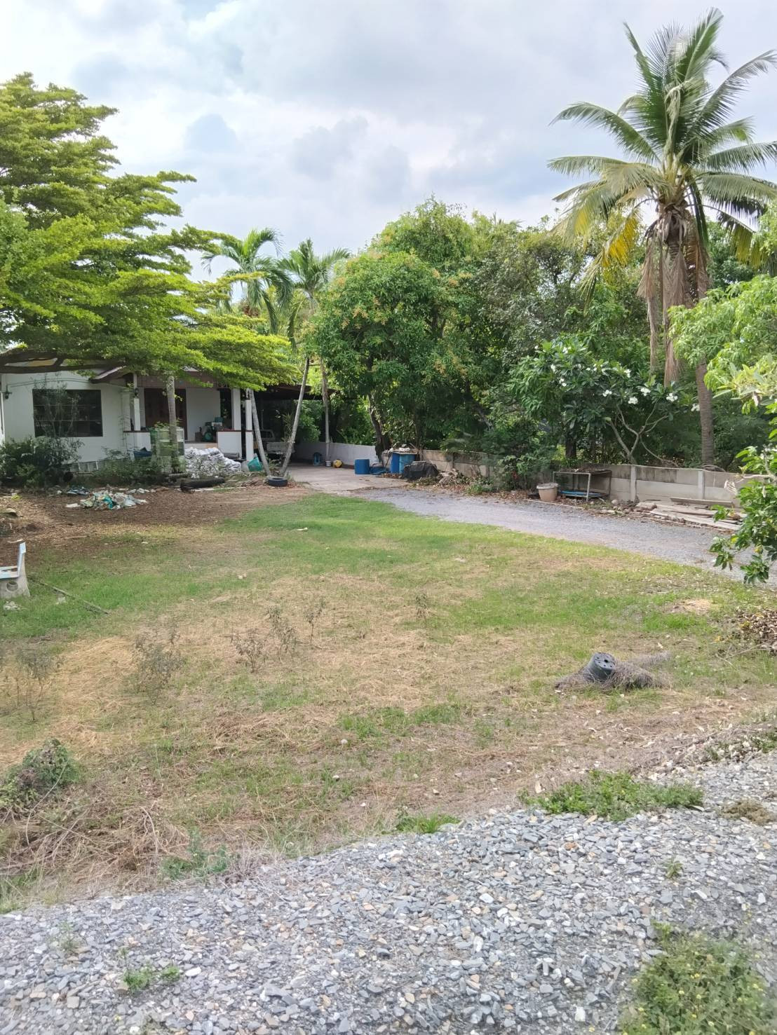 Land for sale with coconut plantation, area 8 rai 1 ngan, Sam Phran District, Nakhon Pathom Province. If interested, contact Chanita 088-2878791. – รูปที่ 2