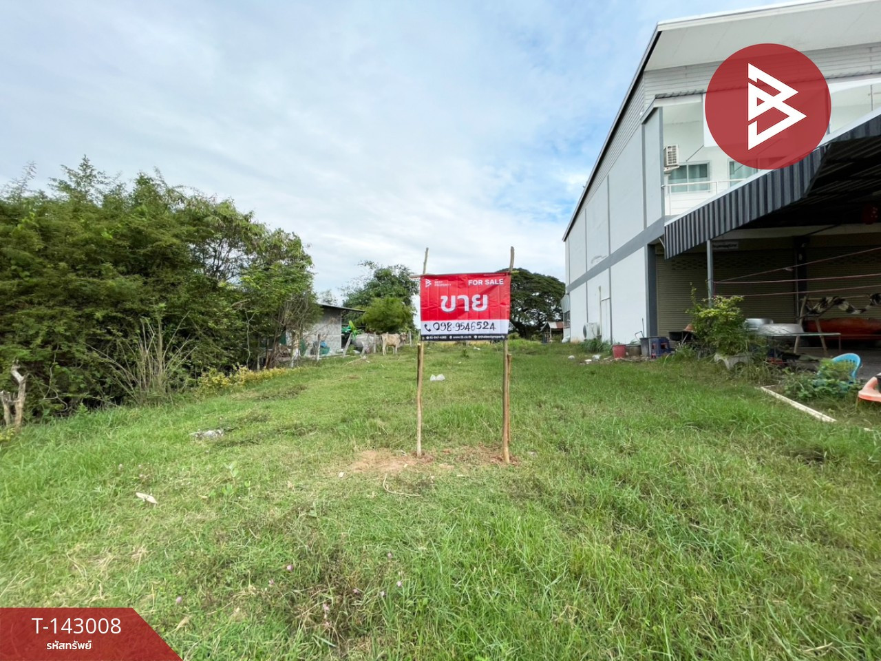 ขายที่ดิน เนื้อที่ 1 งาน โนนศิลา ขอนแก่น – รูปที่ 2