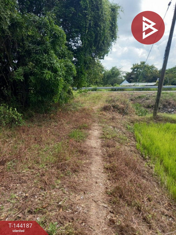 ขายที่ดิน เนื้อที่ 3 ไร่ ต.ดงละคร นครนายก – รูปที่ 2