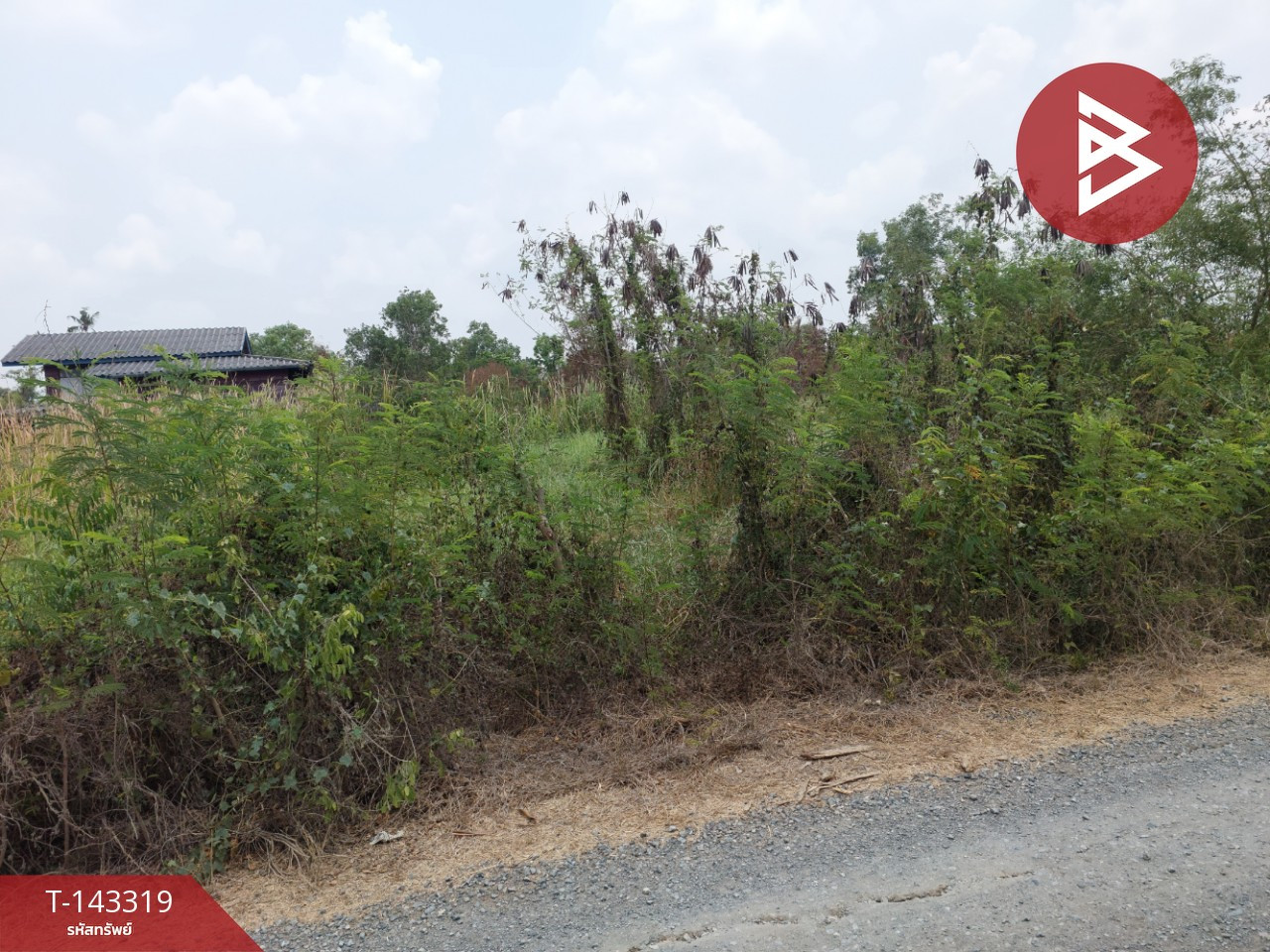 ขายที่ดิน เนื้อที่ 1 งาน 20 ตร.วา องครักษ์ นครนายก – รูปที่ 4